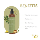 OLIVE CONDITIONER - SOFT AND SMOOTH